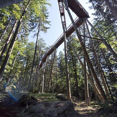 Cozy I Blockhuette Im Nationalpark I Ferienwohnung Neureichenau Zewnętrze zdjęcie