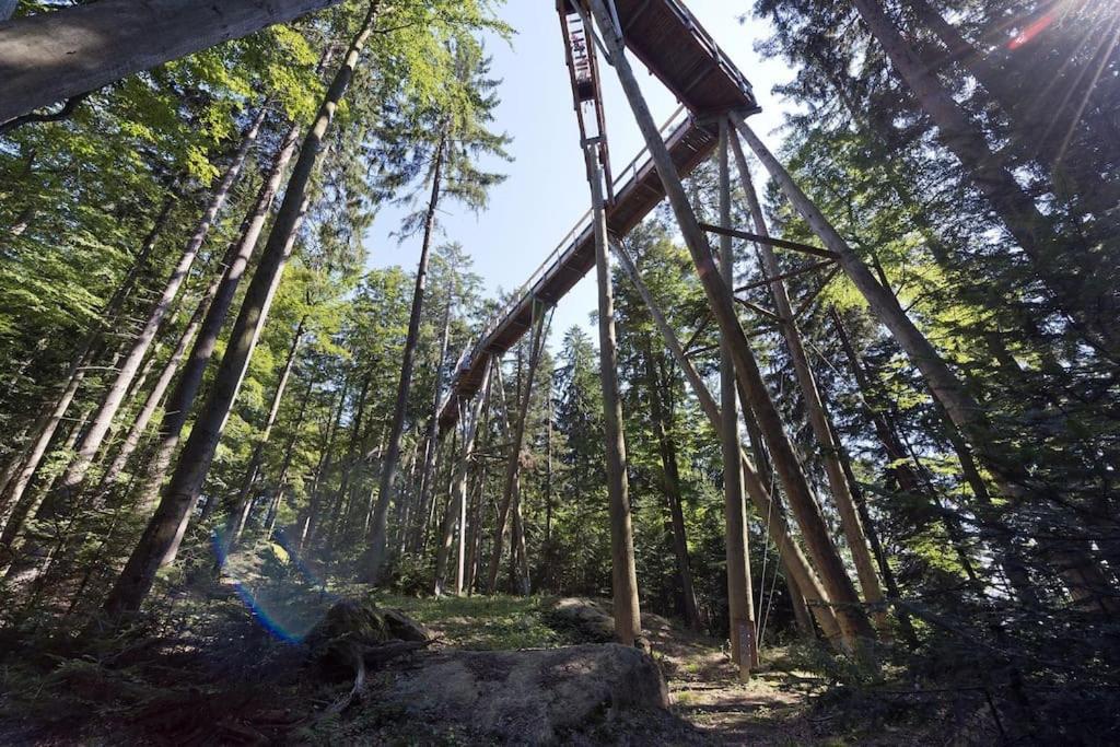 Cozy I Blockhuette Im Nationalpark I Ferienwohnung Neureichenau Zewnętrze zdjęcie