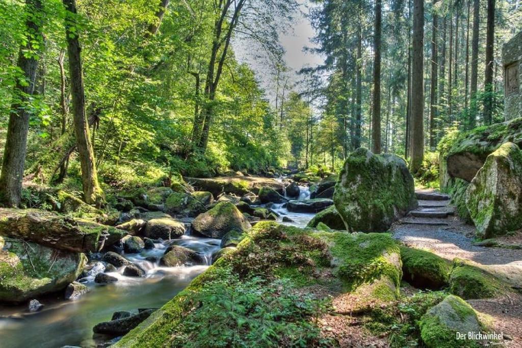 Cozy I Blockhuette Im Nationalpark I Ferienwohnung Neureichenau Zewnętrze zdjęcie