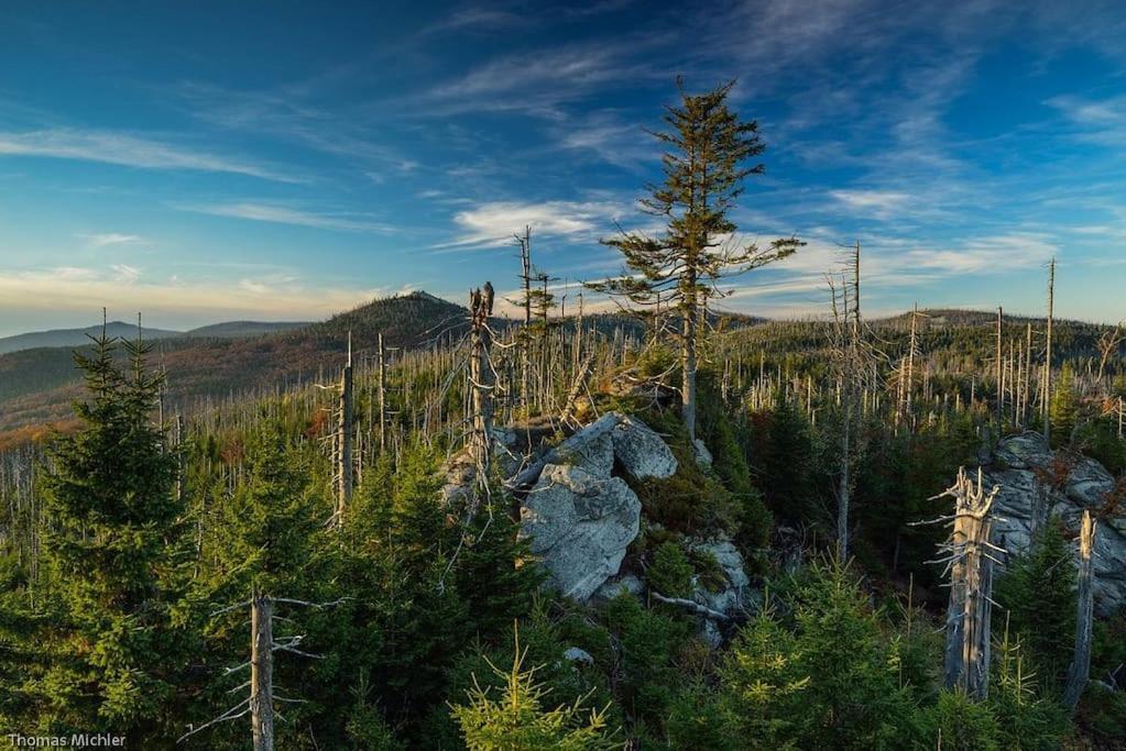 Cozy I Blockhuette Im Nationalpark I Ferienwohnung Neureichenau Zewnętrze zdjęcie